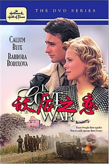 2001電影 敵後之戀 國英語無字幕 二戰/ DVD 2001電影 敵後之戀 國英語無字幕 二戰/ DVD