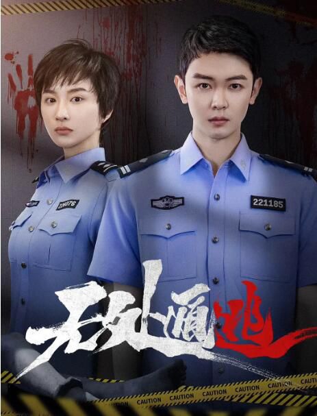 2025大陸劇《無處遁逃》戴景耀/謝心 國語中字 盒裝2碟