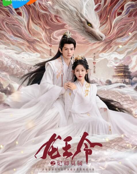 2025大陸劇 龍王令之妃卿莫屬/龍王令 李沐宸/葉盛佳 國語中字 盒裝3碟