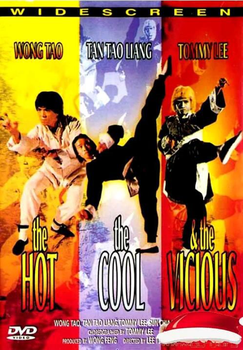 南拳北腿活閻王 譚道良/王道/金銘 國語英字DVD 南拳北腿活閻王 譚道良/王道/金銘 國語英字DVD