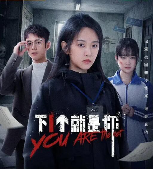 2025大陸劇《下一個就是你》劉泳希/藍博 國語中字 盒裝1碟