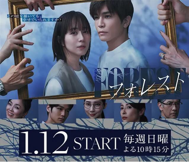 2025日劇 森林/Forest 比嘉愛未/巖田剛典 日語中字 盒裝2碟