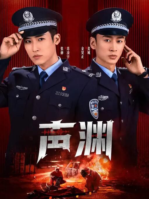 2025高分大陸劇《聲淵》張赫/金賢正 國語中字 盒裝2碟