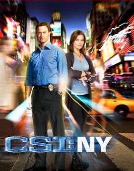 CSI:NY/犯罪現場調查: 紐約篇 第九季完整版 