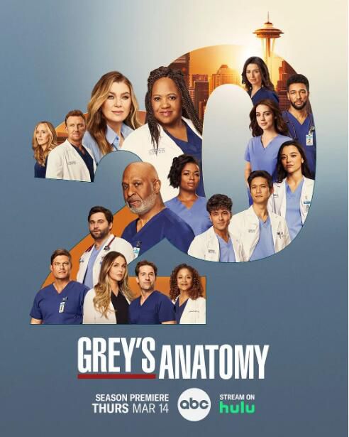 2024高分美劇 實習醫生格蕾/Grey's Anatomy 第20季 艾倫·旁派 英語中字 盒裝2碟