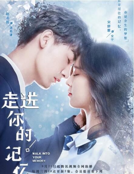 大陸劇【走進你的記憶】【國語中字】【趙誌偉 宋妍霏】清晰4碟 大陸劇【走進你的記憶】【國語中字】【趙誌偉 宋妍霏】清晰4碟