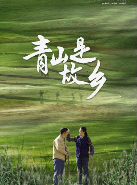 2025大陸劇《青山是故鄉》褚栓忠/梁琳琳 國語中字 盒裝5碟