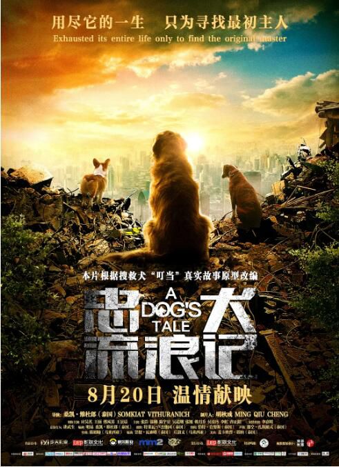 2021大陸電影《忠犬流浪記/A Dog's Tale》叮當/應昊茗 國語中英雙字 盒裝1碟