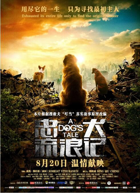 2021大陸電影《忠犬流浪記/A Dog's Tale》叮當/應昊茗 國語中英雙字 盒裝1碟 2021大陸電影《忠犬流浪記/A Dog's Tale》叮當/應昊茗 國語中英雙字 盒裝1碟