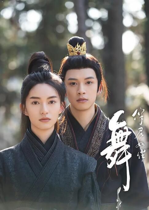 2026大陸劇 伴君如伴舞 吳海/林霖 國語中字 盒裝2碟