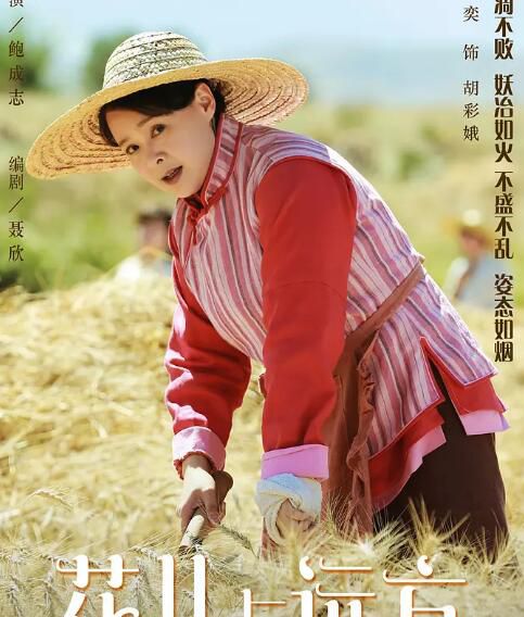 大陸劇 花兒與遠方/蔣雯麗 王誌飛 劉鈞/情感劇 2碟完整版 大陸劇 花兒與遠方/蔣雯麗 王誌飛 劉鈞/情感劇 2碟完整版