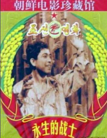 電影 永生的戰士 國語無字幕 朝鮮戰爭 DVD 電影 永生的戰士 國語無字幕 朝鮮戰爭 DVD