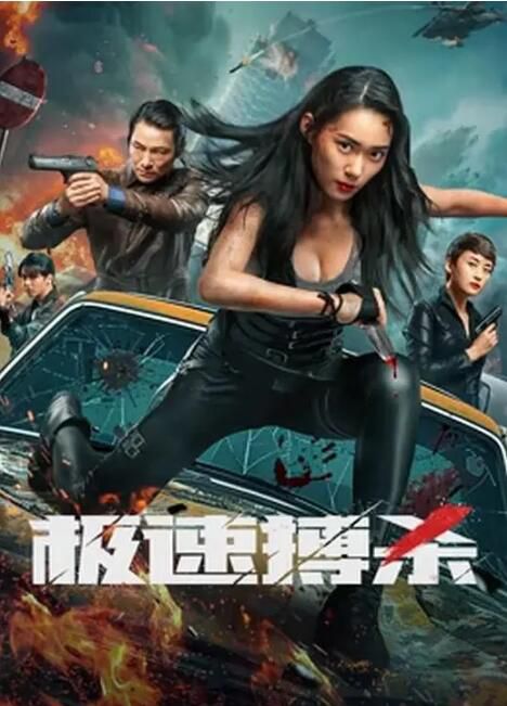 2024大陸電影《極速搏殺》傅渺/韓聰聰 國語中英雙字 盒裝1碟 2024大陸電影《極速搏殺》傅渺/韓聰聰 國語中英雙字 盒裝1碟