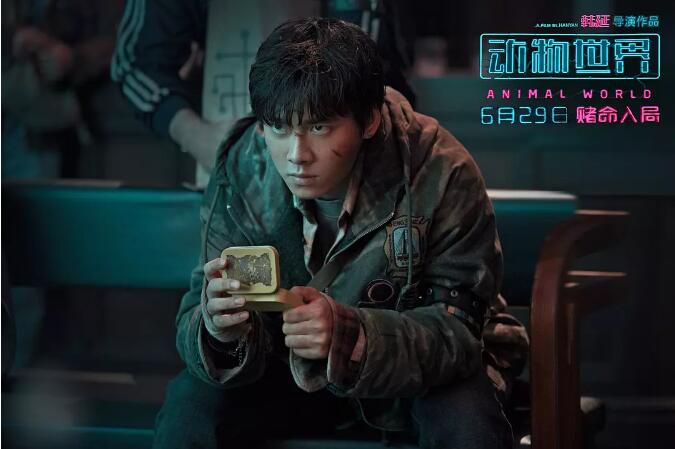 電影 動物世界/賭博默示錄中國版 李易峰 高清盒裝DVD 電影 動物世界/賭博默示錄中國版 李易峰 高清盒裝DVD