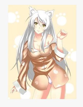 貓物語黑 完整版 2碟DVD 貓物語黑 完整版 2碟DVD