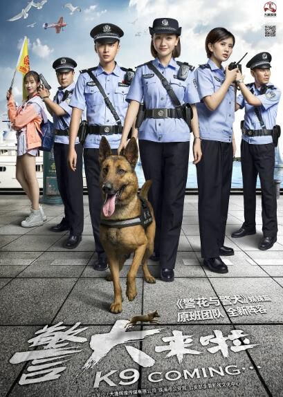 2018大陸劇【警犬來啦】【楊蓉 賈景暉】清晰8碟