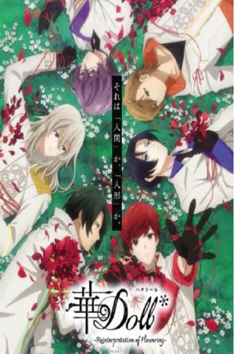 2025日本動畫《華Doll＊ -Reinterpretation of Flowering-》日語中字 盒裝2碟