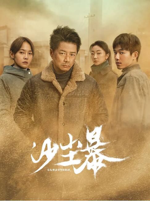 2025高分大陸劇 沙塵暴【TV全集+幕後花絮】 段奕宏/王鏘 高清盒裝4碟