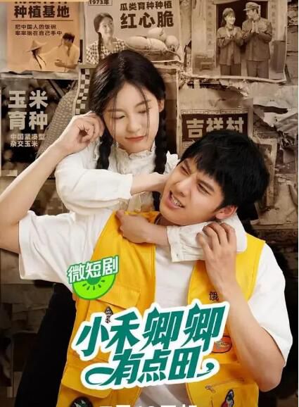 2024大陸劇《小禾卿卿有點田》鄧超元/孫芮 國語中字 盒裝2碟 2024大陸劇《小禾卿卿有點田》鄧超元/孫芮 國語中字 盒裝2碟