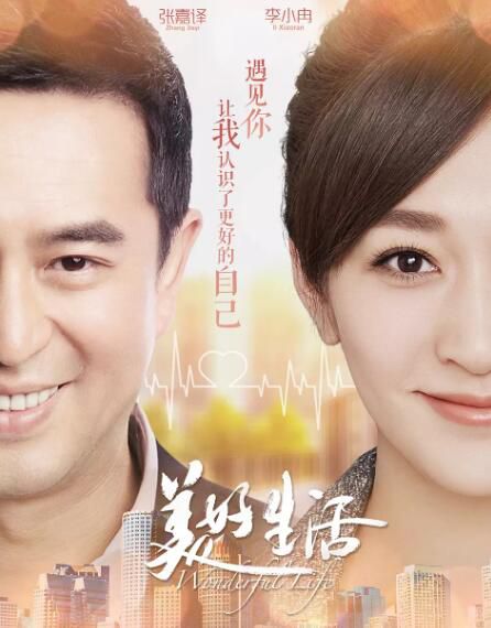 大陸劇【美好生活】【張嘉譯/李小冉】清晰8碟 大陸劇【美好生活】【張嘉譯/李小冉】清晰8碟