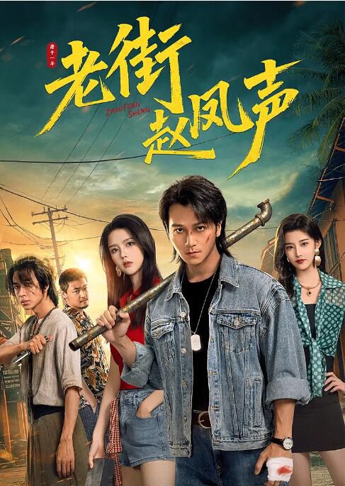 2026大陸劇 老街趙鳳聲/老街中的痞子 喻鐘黎/錦瀧 國語中字 盒裝2碟