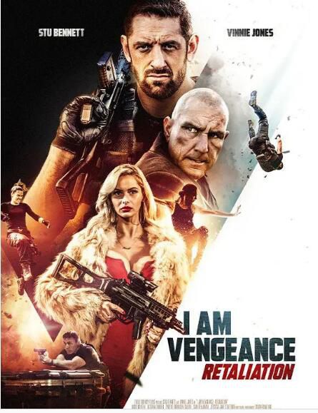 2019動作電影 我是復仇者2/Vengeance 2 維尼·瓊斯 高清盒裝DVD
