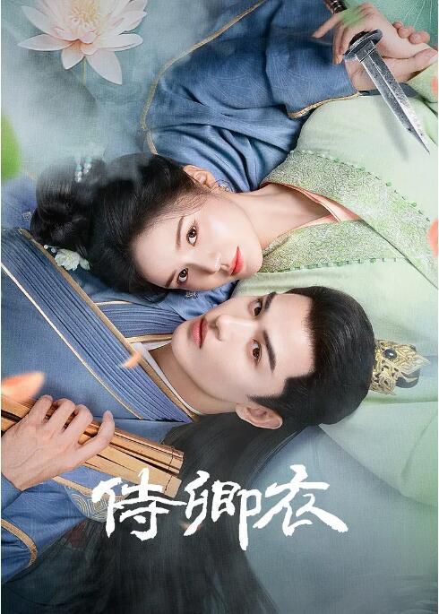 2025大陸劇《侍卿衣》蒙恩/林柒予 國語中字 盒裝2碟