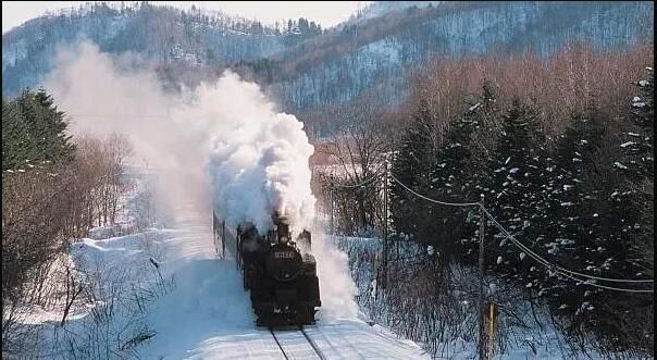 1999日劇 鈴蘭/明日萌車站 台灣國語中字 12碟 1999日劇 鈴蘭/明日萌車站 台灣國語中字 12碟
