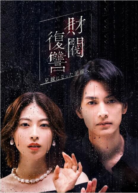 2025日劇 財閥復仇：致成為嫂子的前妻 渡邊圭祐 日語中字 盒裝2碟