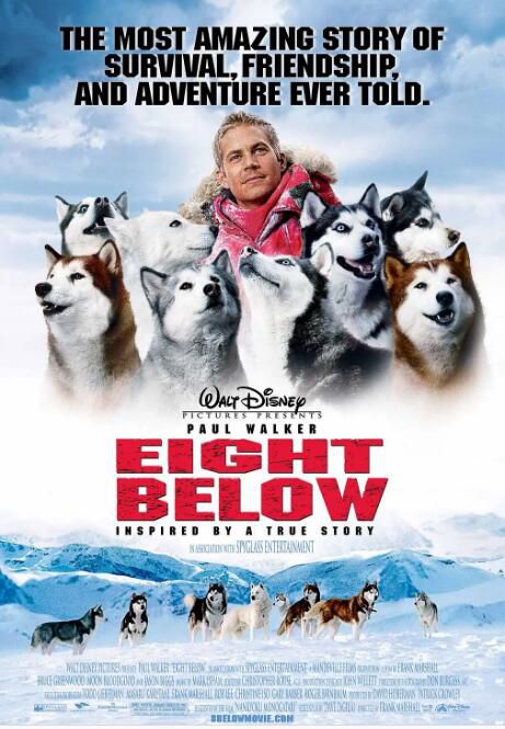 2006高分美國電影 南極大冒險/極地長征/Eight Below 保羅·沃克 英語中字 盒裝1碟