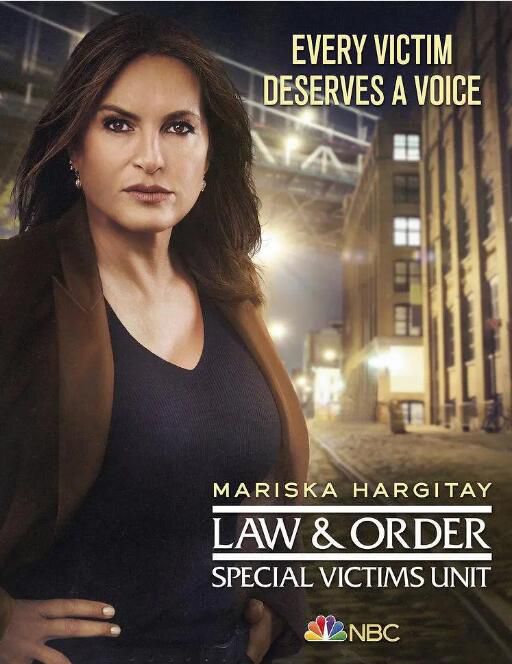 2020高分美劇《法律與秩序：特殊受害者 第二十二季》凱莉·吉蒂什 英語中字 盒裝3碟