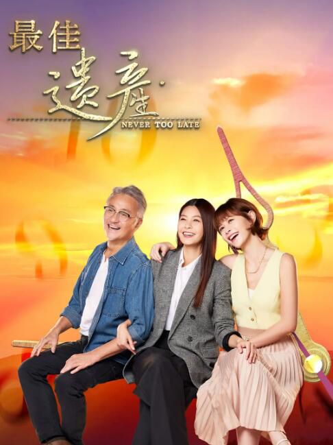 2024新加坡劇《最佳遺產/Never Too Late》吳岱融/陳楚寰 國語中字 盒裝4碟 2024新加坡劇《最佳遺產/Never Too Late》吳岱融/陳楚寰 國語中字 盒裝4碟