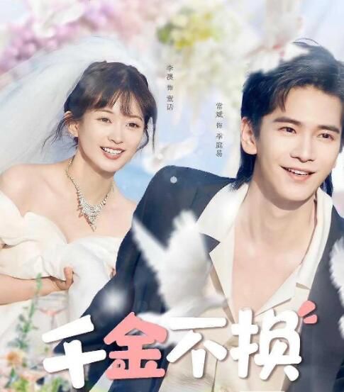 2025大陸劇《千金不換》常斌/李澳 國語中字 盒裝1碟