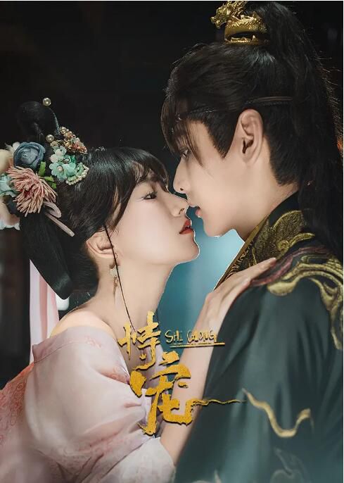 2025大陸劇 恃寵 方瑾/周昊杉 國語中字 盒裝2碟