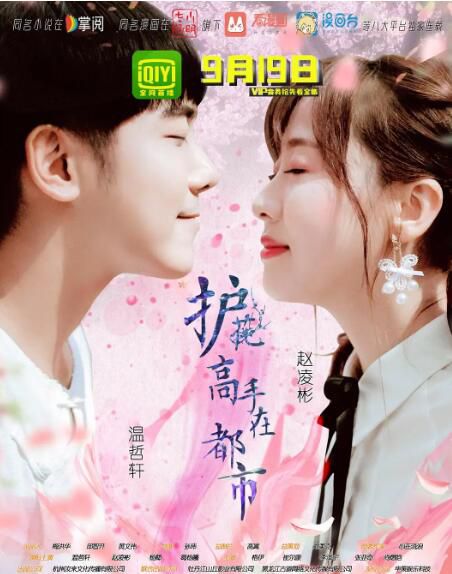 大陸劇【護花高手在都市/逆天八針】【國語中字】【溫哲軒 趙淩彬】清晰2碟完整版 大陸劇【護花高手在都市/逆天八針】【國語中字】【溫哲軒 趙淩彬】清晰2碟完整版
