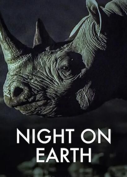 2020高分紀錄片《地球的夜晚/夜訪地球》.英語中英雙字 2020高分紀錄片《地球的夜晚/夜訪地球》.英語中英雙字
