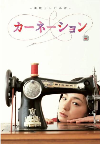 2011日劇【康乃馨/糸子的洋裝店】151集全【尾野真千子】【日語中字】12碟完整版