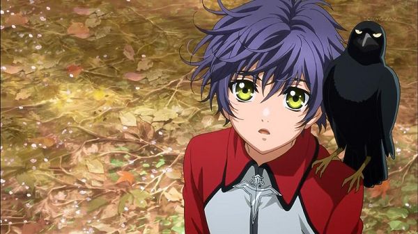 八犬傳:東方八犬異聞 1+2季完整TV版 八犬傳:東方八犬異聞 1+2季完整TV版