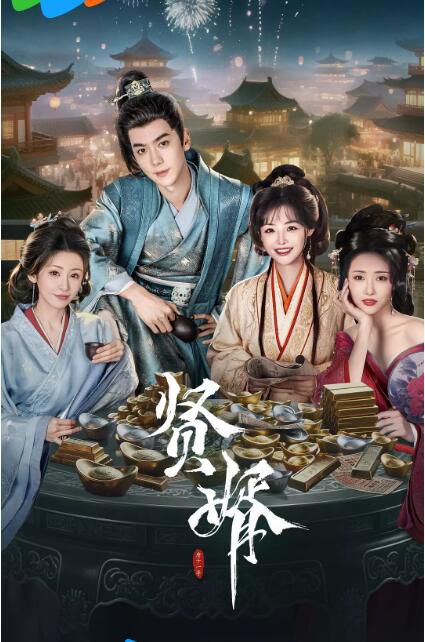 2025大陸劇 賢婿 潘毅鴻/朱容君 國語中字 盒裝2碟