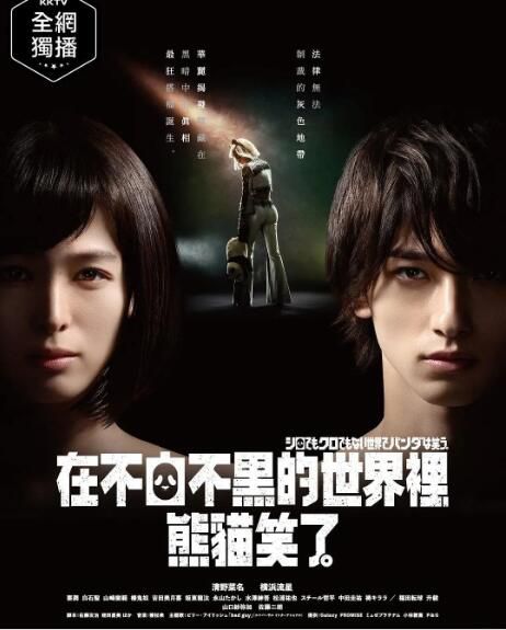 2020最新懸疑劇DVD:在不白不黑的世界裏,熊貓笑了【清野菜名/橫濱流星】2碟 2020最新懸疑劇DVD:在不白不黑的世界裏,熊貓笑了【清野菜名/橫濱流星】2碟