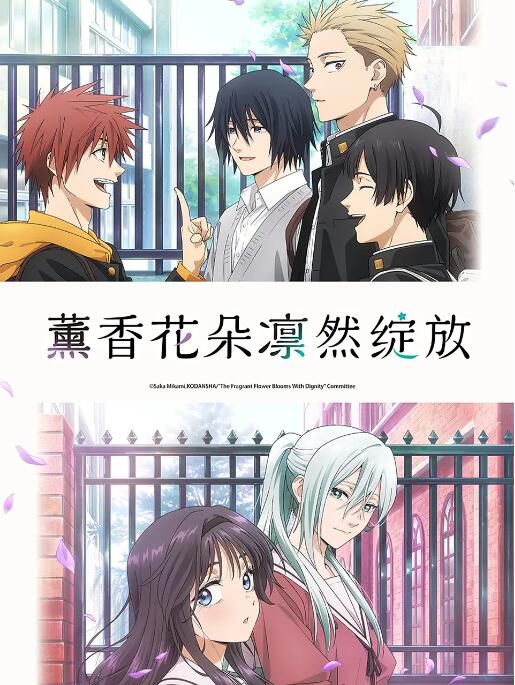2025高分日本動畫 薰香花朵凜然綻放/花薰凜然 日語中字 盒裝2碟