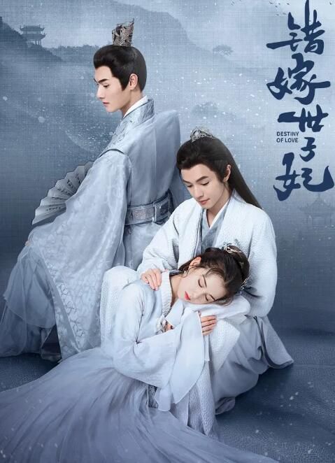 2025大陸劇《錯嫁世子妃》官鴻/黃日瑩 國語中字 盒裝4碟