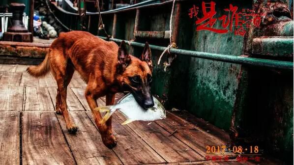 電影 我是誰的寶貝 鄭國霖 程皓楓 華少(2017) 電影 我是誰的寶貝 鄭國霖 程皓楓 華少(2017)
