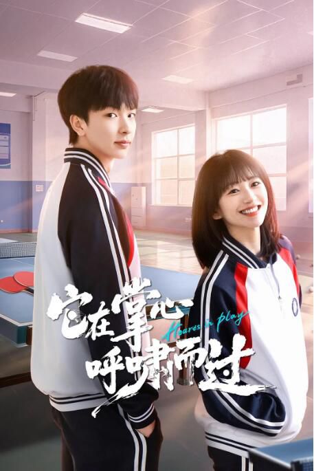 2025大陸劇《它在掌心，呼嘯而過/盛夏弧光》金子璇/肖凱文 國語中字 盒裝2碟