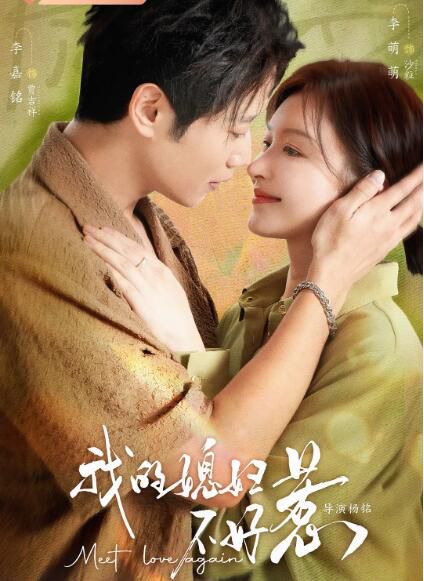 2025大陸劇《我的媳婦不好惹/小冤家》 李嘉銘/李萌萌 國語中字 盒裝4碟