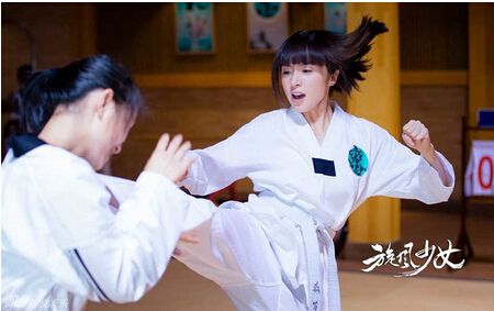 2015大陸劇【旋風少女/旋風百草】【胡冰卿/楊洋】6碟完結版 2015大陸劇【旋風少女/旋風百草】【胡冰卿/楊洋】6碟完結版