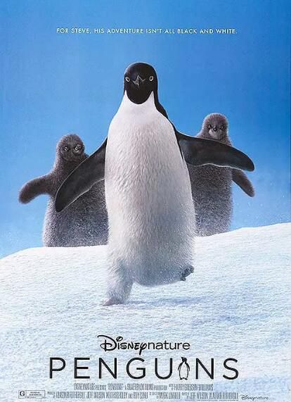 2019高分紀錄片《企鵝/企鵝小萌萌/Penguins》.英語中英雙字 2019高分紀錄片《企鵝/企鵝小萌萌/Penguins》.英語中英雙字