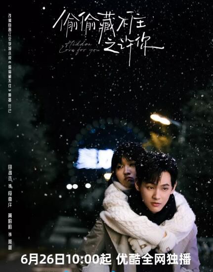 2025大陸劇《偷偷藏不住之許你》田鴻傑/黃盼盼 國語中字 盒裝2碟