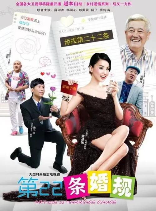 2013大陸劇 第22條婚規/第二十二條婚規 黃聖依/宋小寶 國語中字 7碟