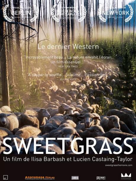2009高分歐美電影 香草/青青綠草/Sweetgrass 呂西安·卡斯坦因-泰勒 英語中字 盒裝1碟